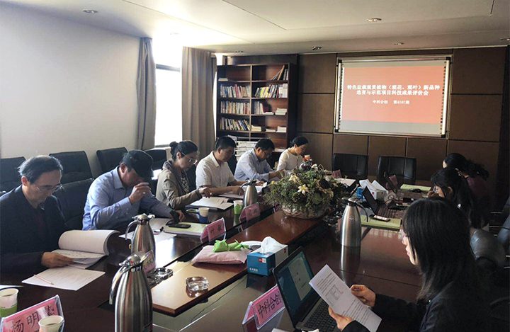 特色盆栽观赏植物（观花、观叶）新品种选育与示范 anli.jpg